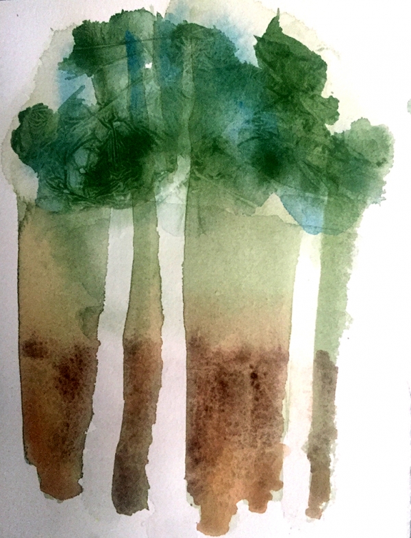 Trees.jpg image